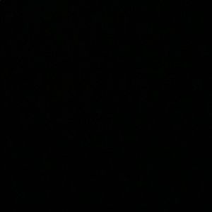 Meet your Posher, Skylar